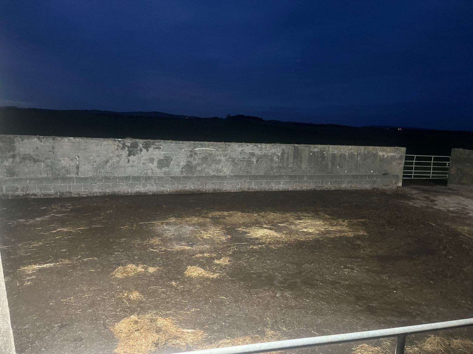 Domestic Electrical Services